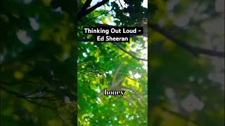The Piano Bar Singalong - Wk 15. Thinking Out Loud by Ed Sheeran #ThinkingOutLoud #SingWithMe