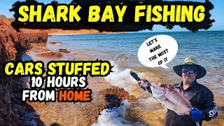 Shark bay Fishing 2023