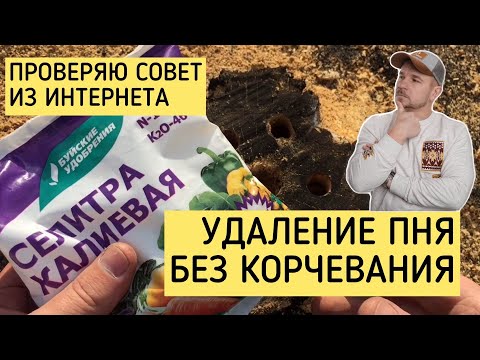 Проверка двух способов из интернета избавиться от пня. При помощи огня и калиевой селитры.