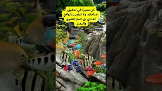 تحفيز للنجاح في الحياة #shorts #shortvideo #shortsvideo #sort