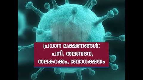 ഭീതി പടർത്തി വീണ്ടും നിപ: ഭയം വേണ്ട ,ജാഗ്രത മതി | Nipah Virus Signs and Symptoms
