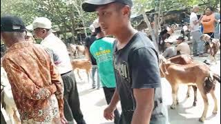 P4S4R HEW4N BERK4KI EMP4T