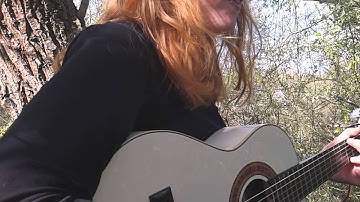 Sumargestur 🐦 (Ásgeir). A cover version.