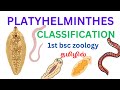 Platyhelminthes (flatworms) classification in tamil class trematoda,cestoda and turbellaria in tamil
