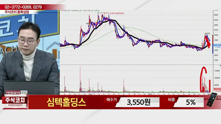 심텍홀딩스(036710)_김현구 전문가_종목 상담 (20240113)