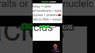 Crush Macromolecules: 4-Line Strategy for Biology! #shorts