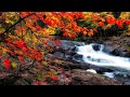 Waterfall | Meditation Music | Relaxing Music | Soothing Music | Sleep Music | Study Music