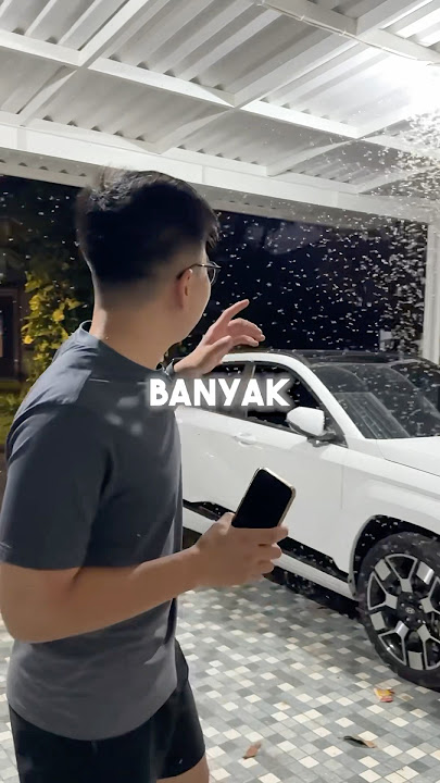 Easy way to get rid of termites!