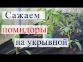 Посадка томатов на укрывной материал в теплицу.(13.05.16)