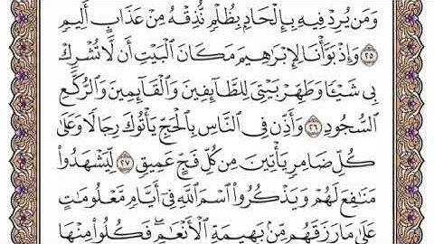 سورة الحج الشيخ ياسر الدوسري صفحة ٣٣٥