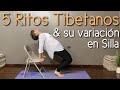 Los 5 RITOS TIBETANOS  para la Juventud & su variación en Silla | Guía