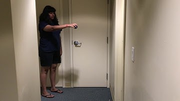 Tracker Video Analysis