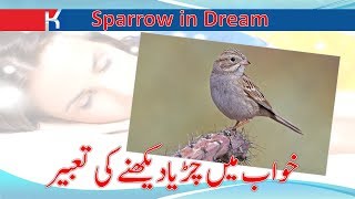 Khawab ki Tabeer, Khawab mein chirya dekhna, Sparrow in dreaming, خواب میں چڑیا دیکھنے کی تعبیر
