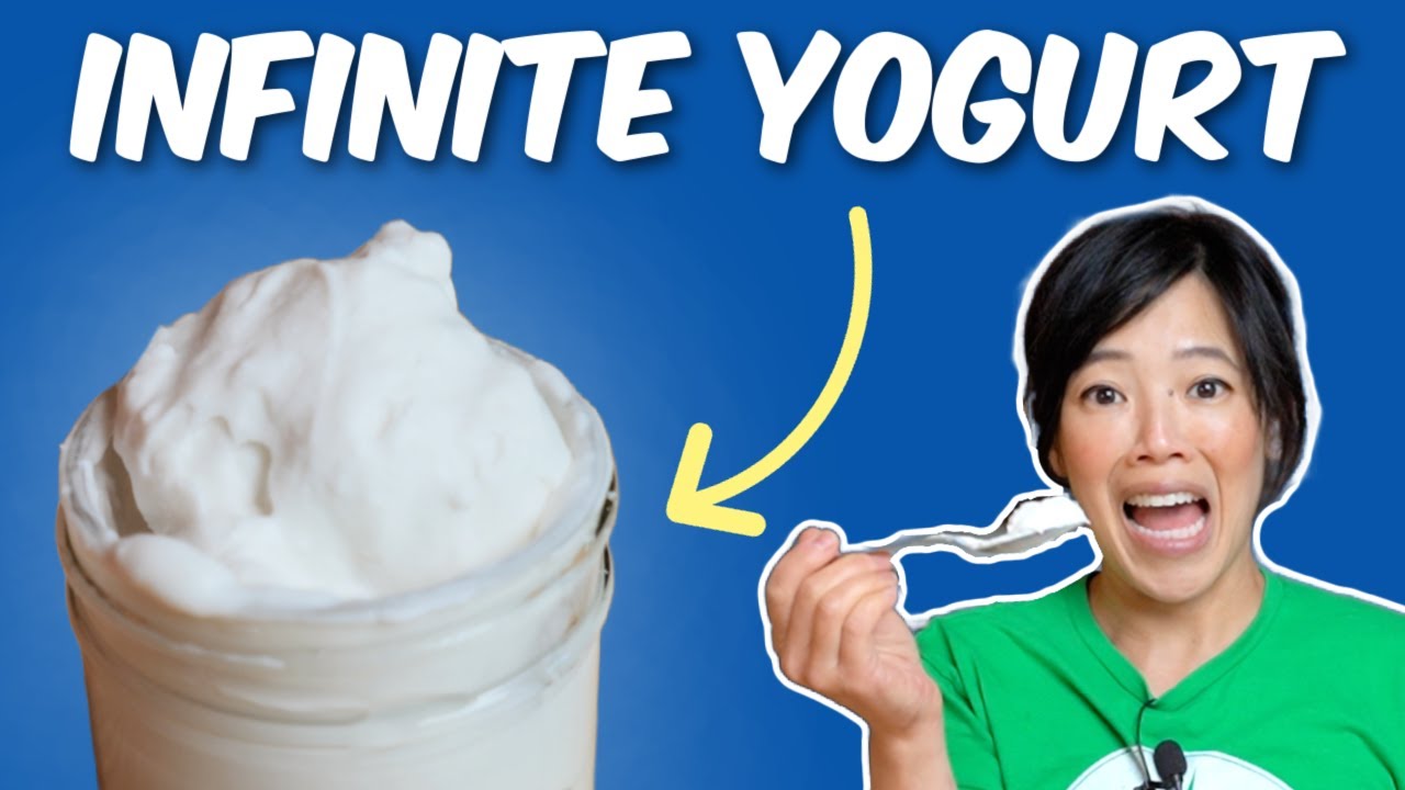 Fancy 3-Ingredient Coconut Yogurt For CHEAP