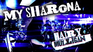 My Sharona - The Knack - Performed By Hairy Mulligan