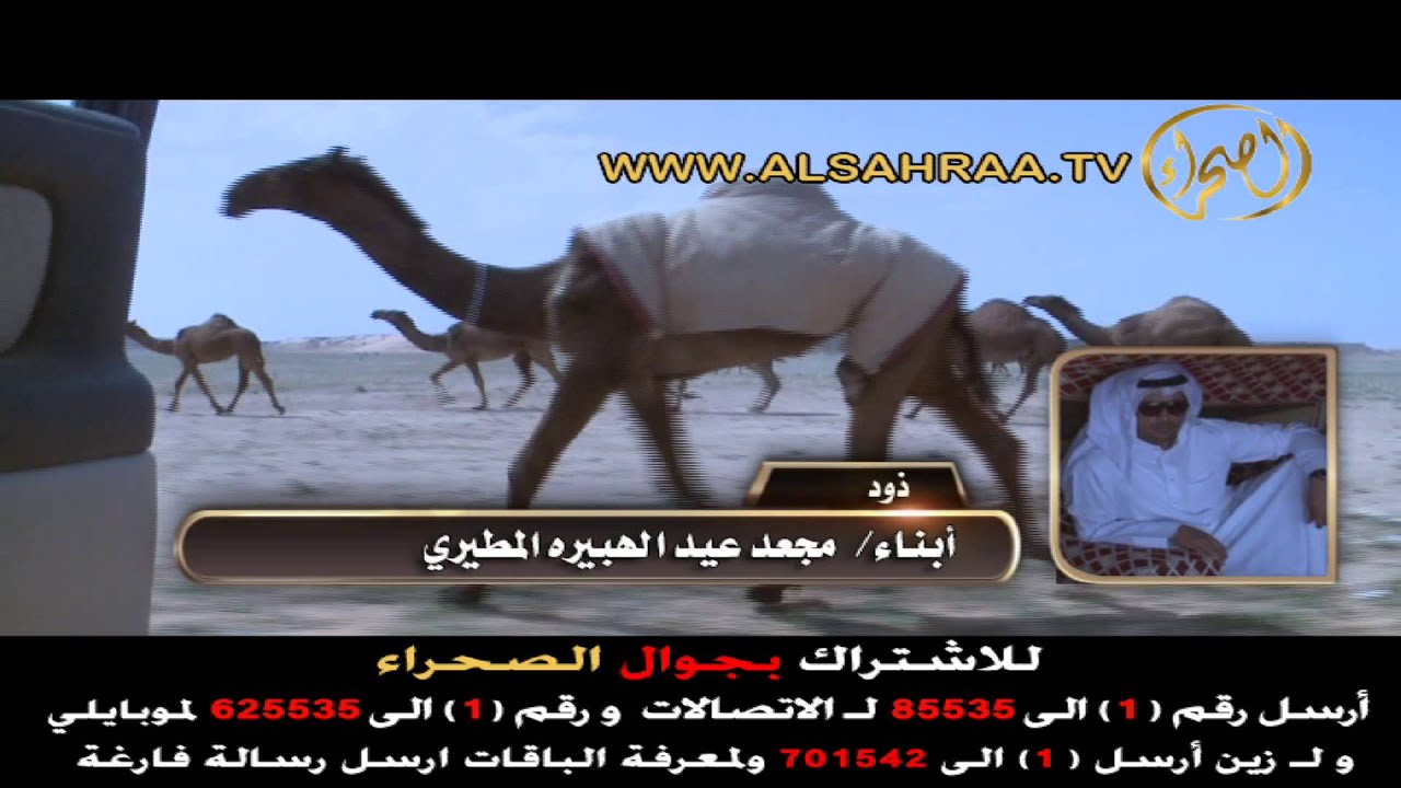 ذود / أبناء مجعد عيد الهبيره المطيري
