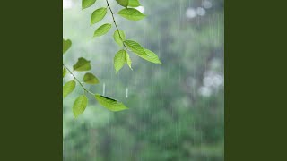 Drizzle Harmony in Serene Rainfall