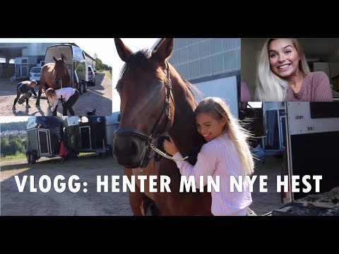 Video: Sådan Sælges En Hest I