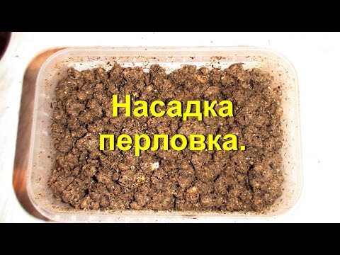 наживка для рыбалки своими руками из перловки