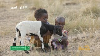 حاضرة البادية .. لقاوه  |  سلسلة #أرض_السمر .. السودان كما لم تره من قبل