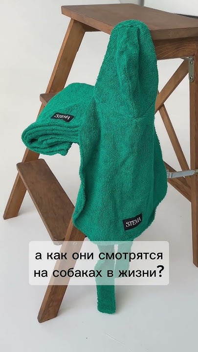 Банные халатики для собак #stema_brand #одеждадлясобак #халатдлясобак ...