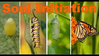 Soul Initiation:The Rite of Passage Our Culture Never Taught Us|Bill Plotkin Repost copyright issues