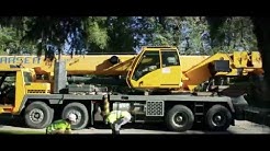 Nye's Tree Service - Ogden Utah Tree Removal Company