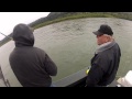 Lower Rogue Springers & How Not to Net a Fish | Southern Oregon Fishing