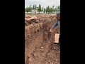 Traditional Hand-Dug Chinese Yam