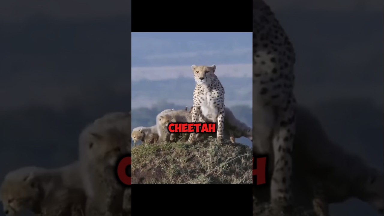 Record-Breaking Animals and Their Astonishing Abilities"