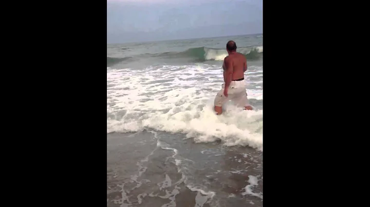 Black tip shark off the beach