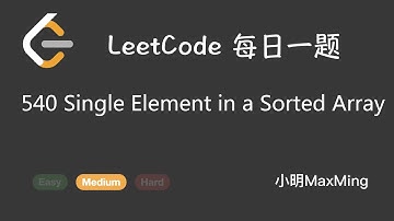 LeetCode 每日一题 Daily Challenge 540 Single Element in a Sorted Array