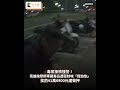 毒駕拒檢撞警！高雄按摩師車藏☠️💊遭壓制喊「我怕怕」　挨罰41萬6900元遭聲押