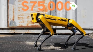 The Robot Dog that Costs $75,000 | GIVEAWAY!!