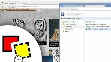 Drag drop from Chrome Bookmarks / Discovering msDrop.com