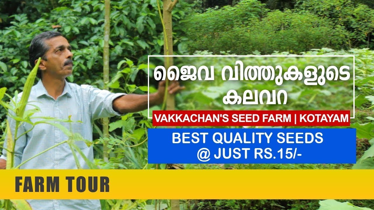 പച്ചക്കറി വിത്തുകളുടെ കലവറ | Vakkachan's Seed Farm | Vegetable Seed Farm | Poovarani | Kottayam