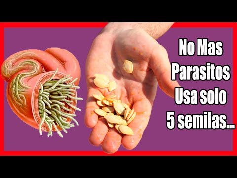 Elimina los parásitos con 50 gramos de semillas de calabaza y…