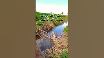 #محمود_الشحات_أنور #تلاوه_خاشعه #القران_الكريم #اكسبلور