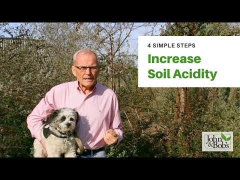 मिट्टी की अम्लता को स्वाभाविक रूप से कैसे बढ़ाएं (4 सरल कदम!)