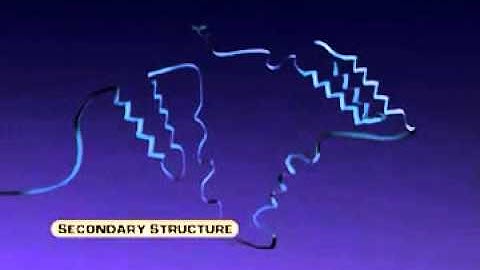 Protein Structure