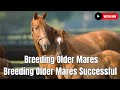 Breeding Older Mares | Breeding Older Mares Successful Farming Without Insurance