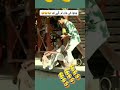 ChaCha in Trouble #shortsvideo #viralvideo #funny #song #viral #tiktok #youtubeshorts