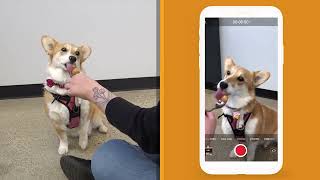 genNEXT@Home | Ep. 6 – GIF Making screenshot 5