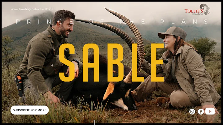 Sable Hunt in South Africa - First time Hunter with Tollie’s African Safaris