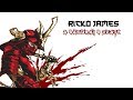 Capture de la vidéo Rick0 James - A Samurai's Death | Lyrics |