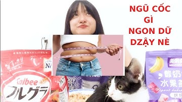 #4 Ngũ Cốc Calbee Nội Địa Nhật Và Ngũ Cốc Giảm Cân Nội Địa Trung - Loại Nào Giảm Cân Tốt Hơn?  😉😉😉