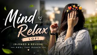 🎧2026 Ultimate Mind Relaxing Lofi Beats | Study, Sleep & Chill🎶 🥰 screenshot 4