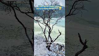 This Lake Is Beautiful… But It Can Destroy Your Skin! 😱☠️” #ciwidey #facts #viral