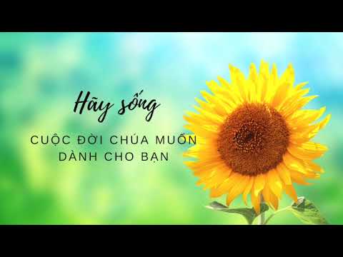 Hãy Sống Cuộc Đời Chúa Muốn Dành Cho Bạn
