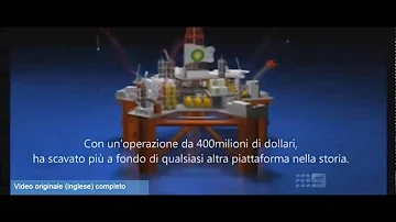 Quali furono le conseguenze ambientali provoca te dalla piattaforma petrolifera Deepwater Horizon?